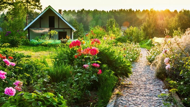 Название фото