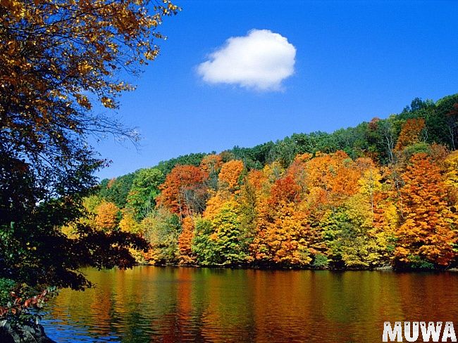 Природа земли51