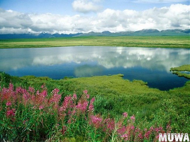 Природа земли54