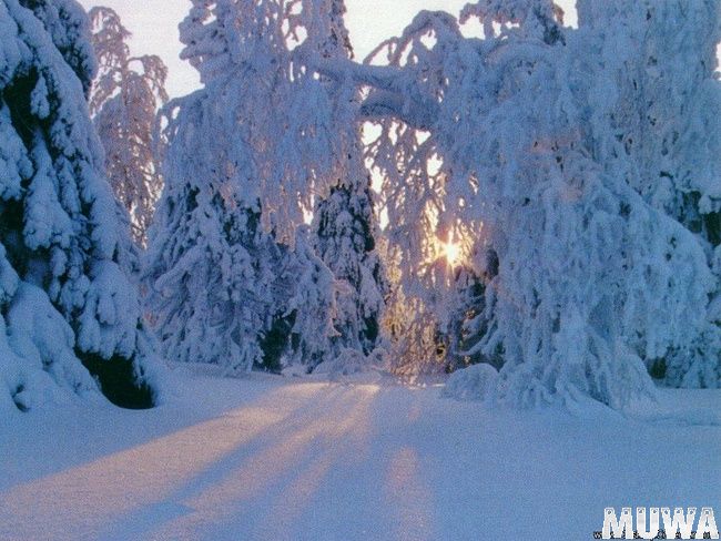 Природа земли32