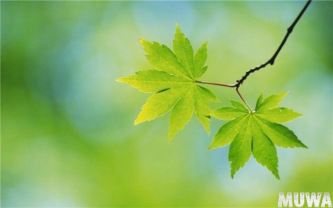 Природа земли53