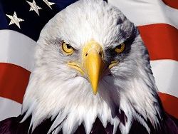 The Global Research США меняют правила игры