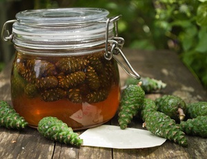 Лечим инсульт сосновыми шишками.