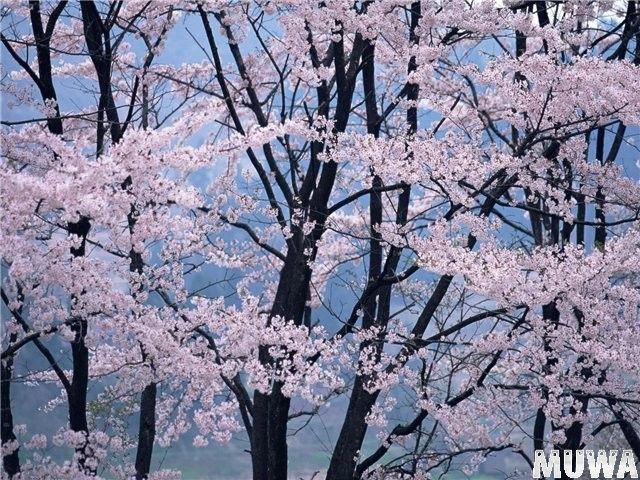 Природа земли55