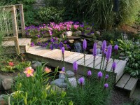 Дачные Идеи200