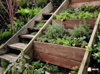 Дачные Идеи216