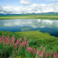 Природа земли54