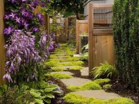 Дачные Идеи224