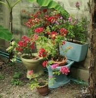 Дачные Идеи202