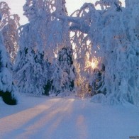 Природа земли32