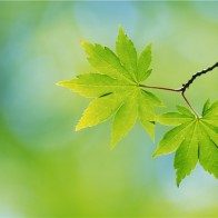 Природа земли53