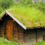 Зеленая крыша своими руками: