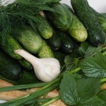 СОВЕТЫ ПО ВЫРАЩИВАНИЮ ОГУРЦОВ