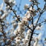 Начинаем работы в Мае.