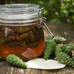 Лечим инсульт сосновыми шишками.