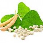 Как варить фасоль быстро