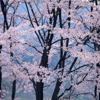 Природа земли55