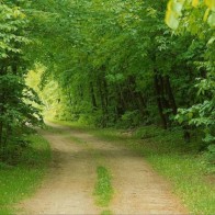 Природа земли59