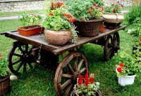 Дачные Идеи222